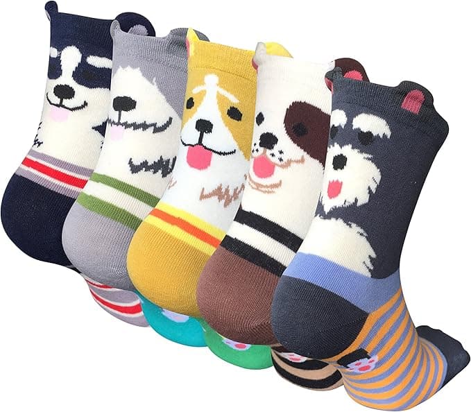 Lot de 5 chaussettes fantaisie